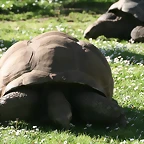 Zoo de Barcelona 27-03-11 750