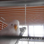 CIMG0303