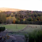 DSCN8644