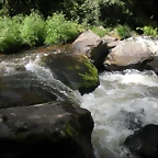 DSCN2783