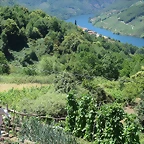 31-IMG_7296