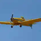 PA-25-PuelcheFADEA