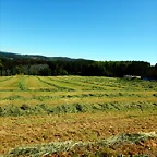 DSCN2339