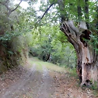 DSCN7194