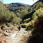 DSCN8020