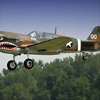 Curtiss_P-40_Warhawk_airshow[1]