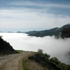 DSCN8085