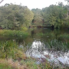 DSCN5276