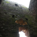 DSCN2820