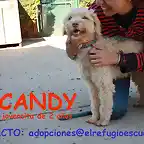 CANDY Sevilla