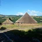 DSCN2341