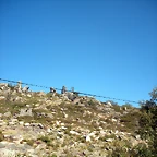 DSCN7906
