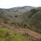 DSCN8960