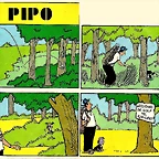 pipo