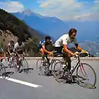 TOUR DE 1977-MERCKX-THURAU-AJA-AGOSTINHO- RAIMOND MARTIN-POZO-etapa morzine-chamonix