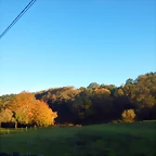 DSCN8966