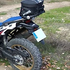 Trans_GIVI_det