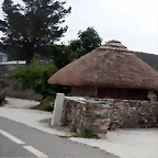 DSCN6490