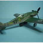 fw-190 - 08 (4)