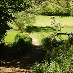DSCN0053
