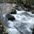 DSCN2088