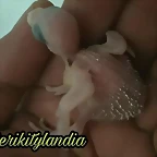FB_IMG_1498210069019