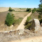 DSCN8169