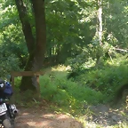 IMG_20220808_154923_1