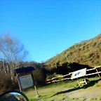 DSCN4501