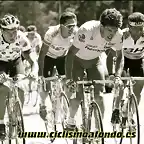 Perico-Vuelta1989-Pino2