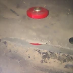 IMAG0314
