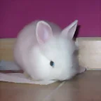 Nina