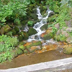 DSCN3834