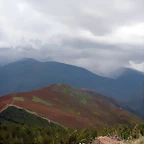 DSCN6363