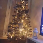 Video Mar?a IG Stories 15-12-2019 (3)