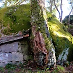 54-IMG_5547