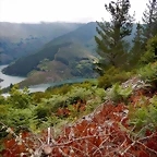 DSCN1281