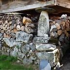 DSCN8252