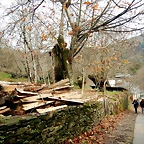 DSCN3230