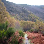 DSCN0802