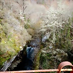 DSCN2163