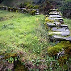 DSCN0471