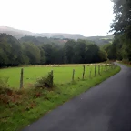 DSCN8379