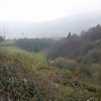 DSCN8175