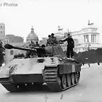 Panther_215_rome_44_4