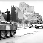 Panther_number_215_Italy