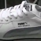 puma 66