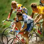 Perico-Tour1989-Lemond-Fignon3b