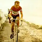 Gaul-Giro 57