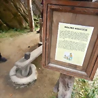 DSCN3477